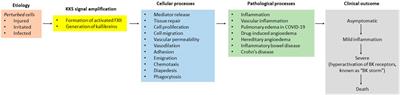 Editorial: Kallikrein-kinin system: insights into a multifunctional system